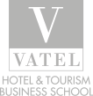 Logo Vatel - Footer
